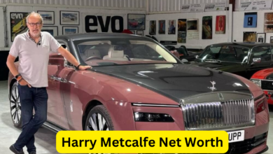 Harry Metcalfe Net Worth