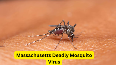 Massachusetts Deadly Mosquito Virus